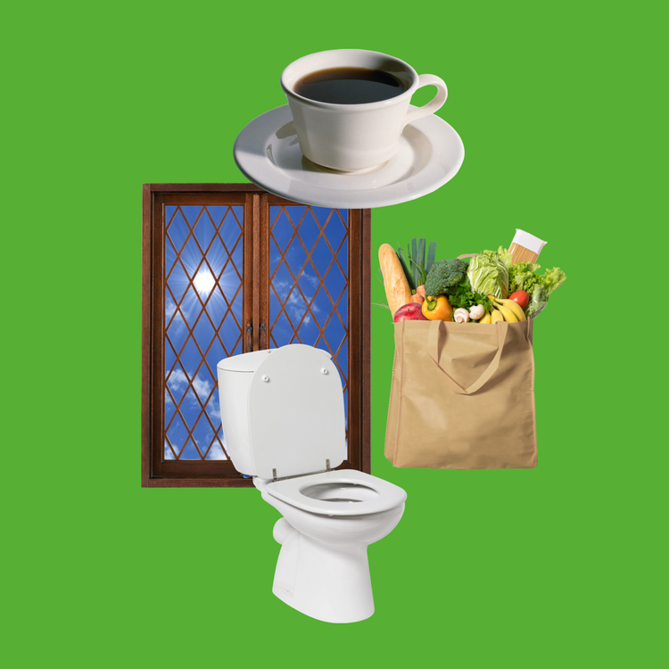 A surreal collage on a solid green background featuring a white toilet, a white coffee cup and saucer, a brown paper shopping bag filled with groceries, and a window with diamond-patterned blue glass.