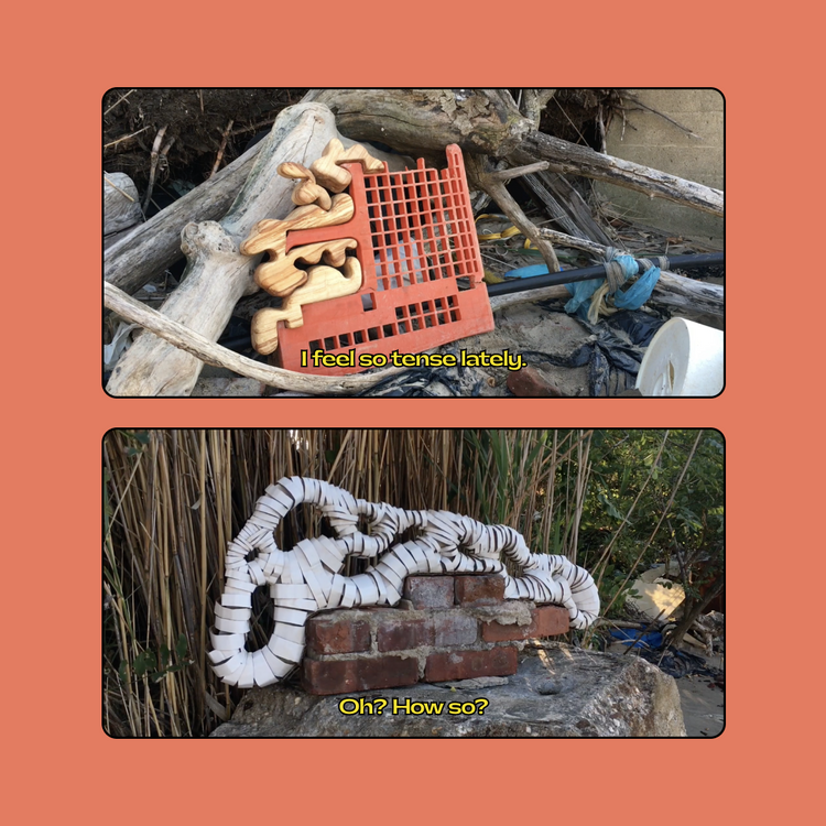 A collage of two panels showing unusual outdoor scenes with overlaid text. The top panel shows a red plastic crate filled with carved wooden animal figures among driftwood and branches.