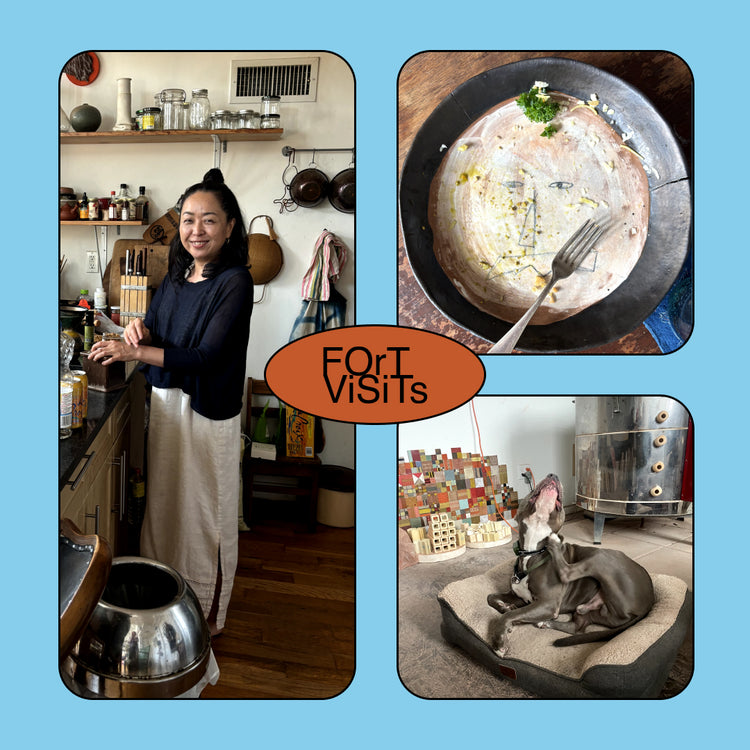 A collage of four photos with a central orange label reading 'FOR VISITS' on a light blue background. The left panel shows a woman standing in a kitchen.