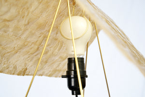 Fold Table Lamp