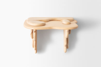 Bloopy Doopy Shelf, Small, 2