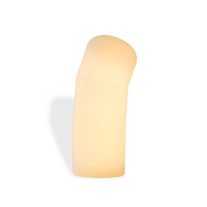 White Worm Hand-blown Glass Inhabitants Light