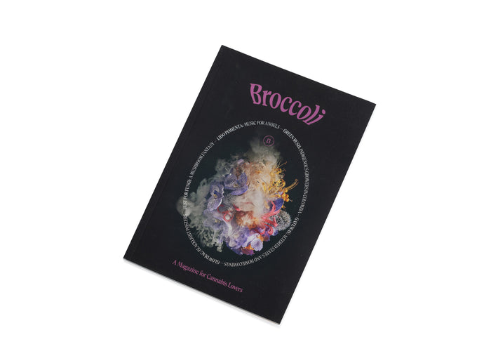 Broccoli Magazine Issue 13