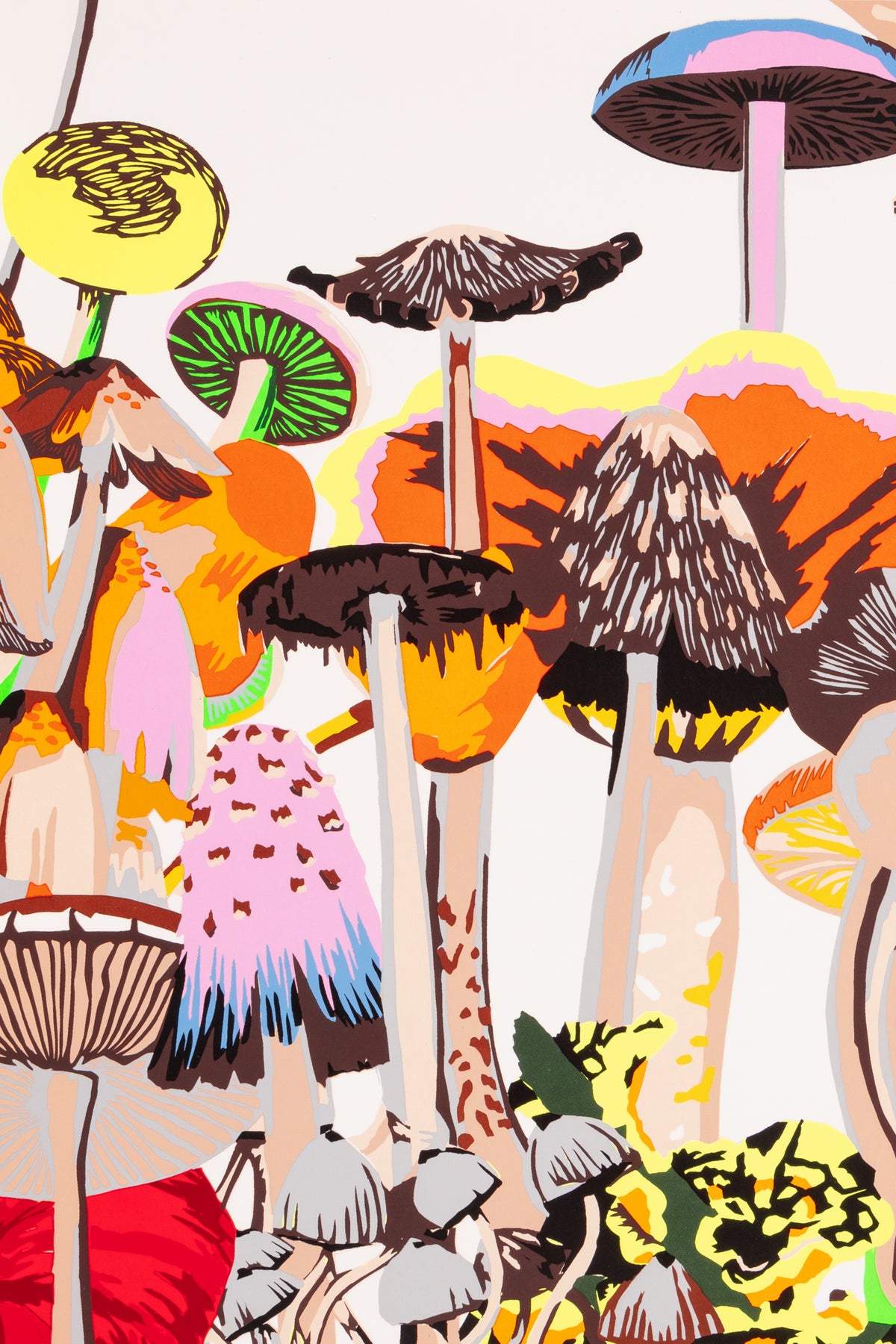 Future Retrieval (Katie Parker and Guy Michael Davis), Mycology Monday, 2020 Limited Edition Print