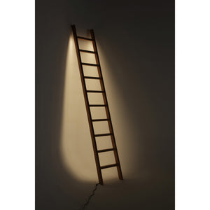Cherry Ladder LED Line Light