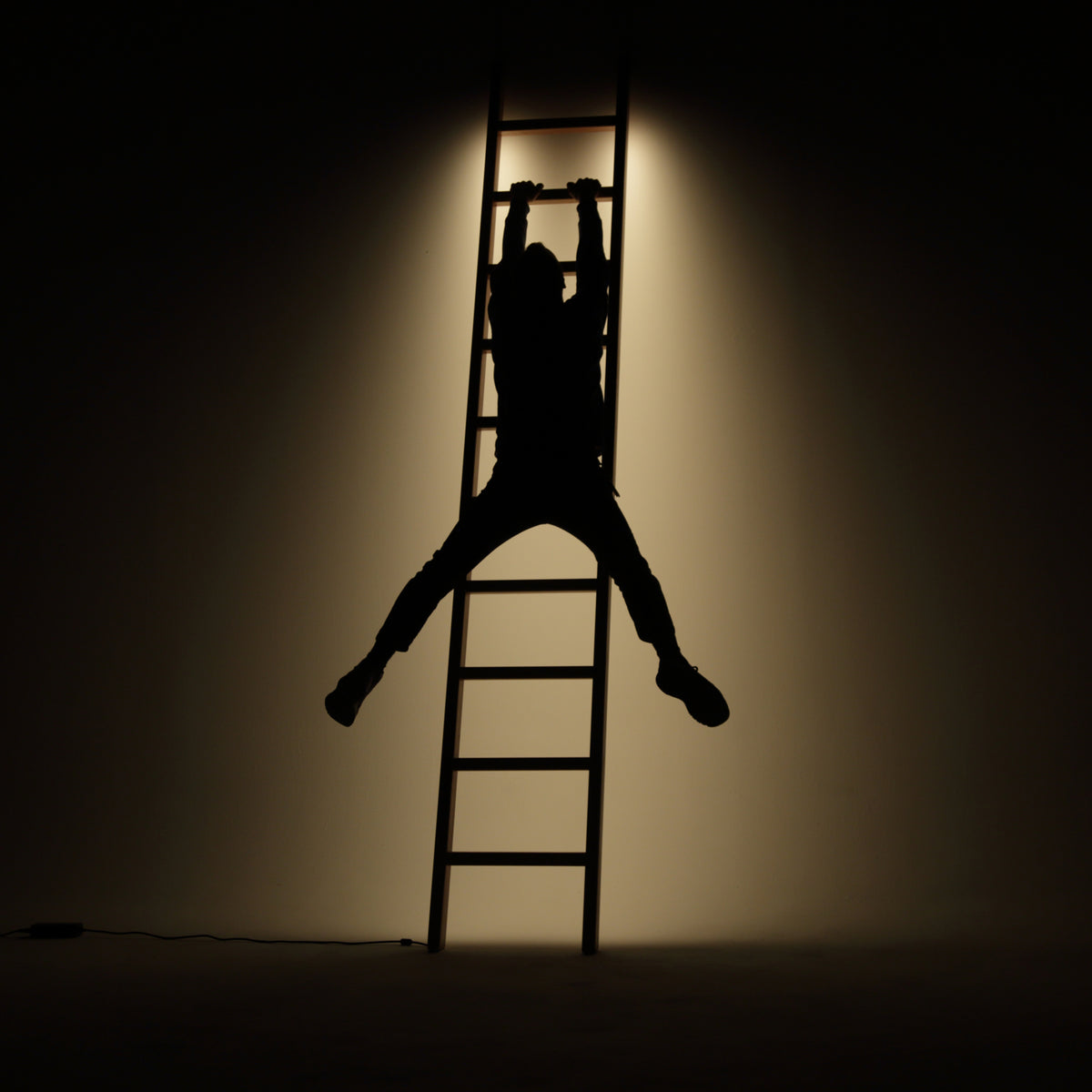 Cherry Ladder LED Line Light