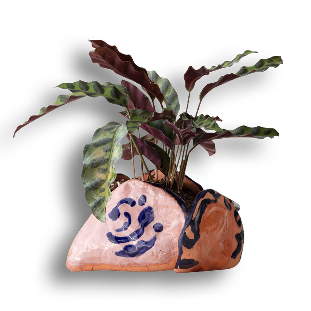 Tulip Pot