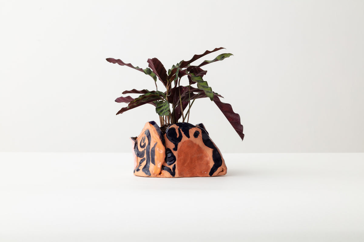 Tulip Pot