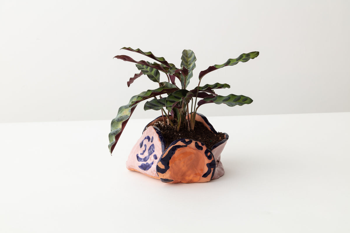 Tulip Pot