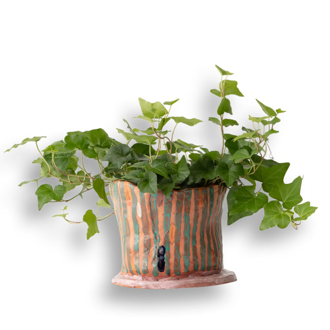 Double Line Pot