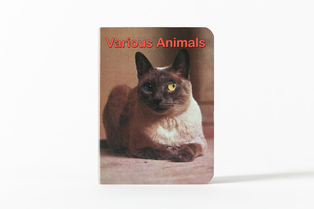 Various Animals by Chantal Rens