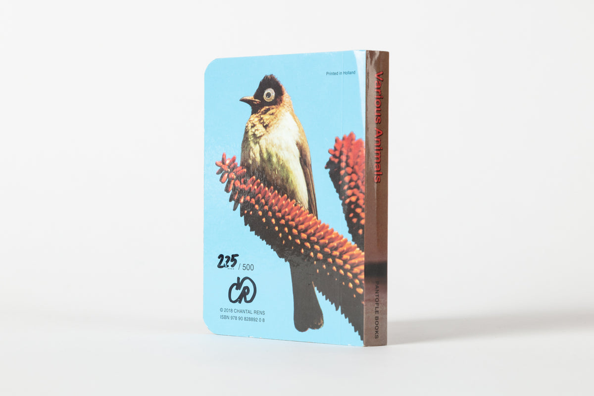 Various Animals by Chantal Rens