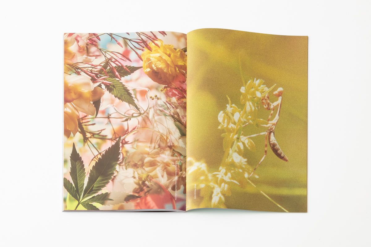 Broccoli Magazine Issue 12
