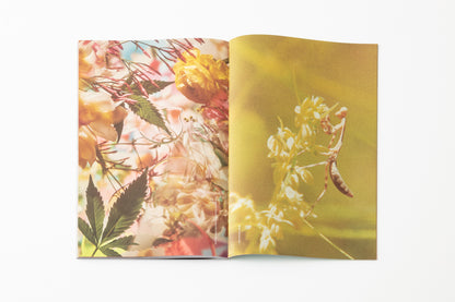 Broccoli Magazine Issue 12