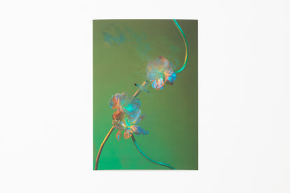 Smoking Flowers Postcard Print Set