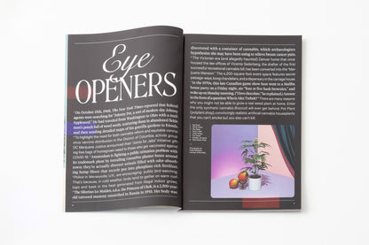 Broccoli Magazine Issue 12